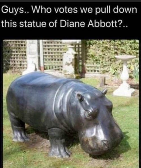 We have to do more than throw our hands up in the air! For those of you who don't know Dianne Abbott is the longest standing black  MP (Labour) in UK's history. Posting a photo of a statue of an African rotund mammal and likening to someone of African heritage (reference to the Colston (18th century slave owner and trader) statue being toppled is tantamount to a racist act. If they had posted something else relating to Dianne Abbot, it could have been construed as potentially funny, but this reference is surely offensive to most people of African heritage.